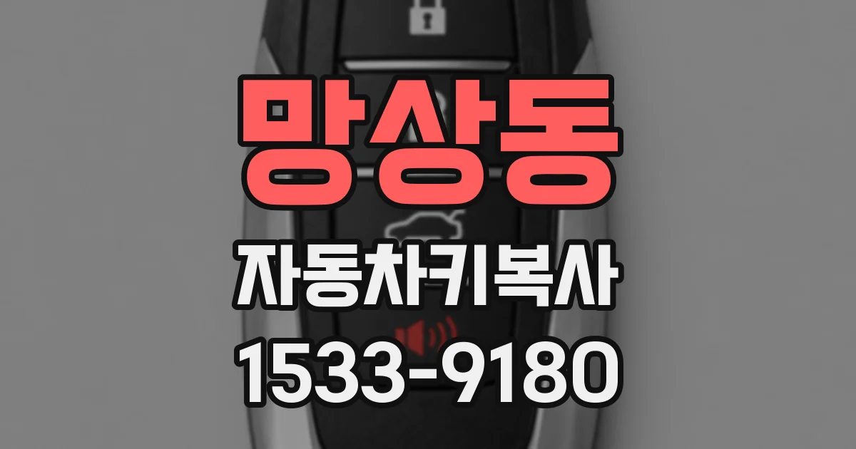 망상동 자동차키복사