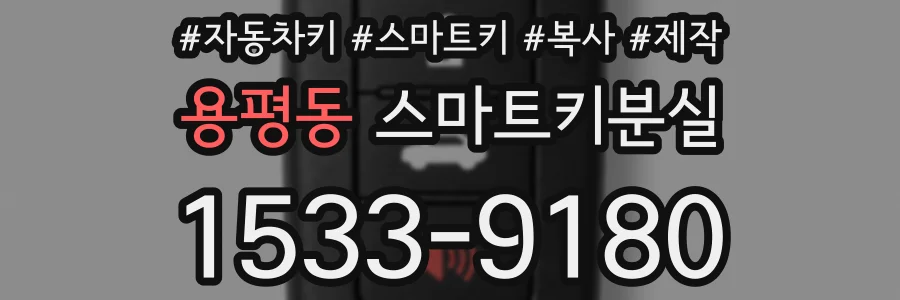 용평동 스마트키분실