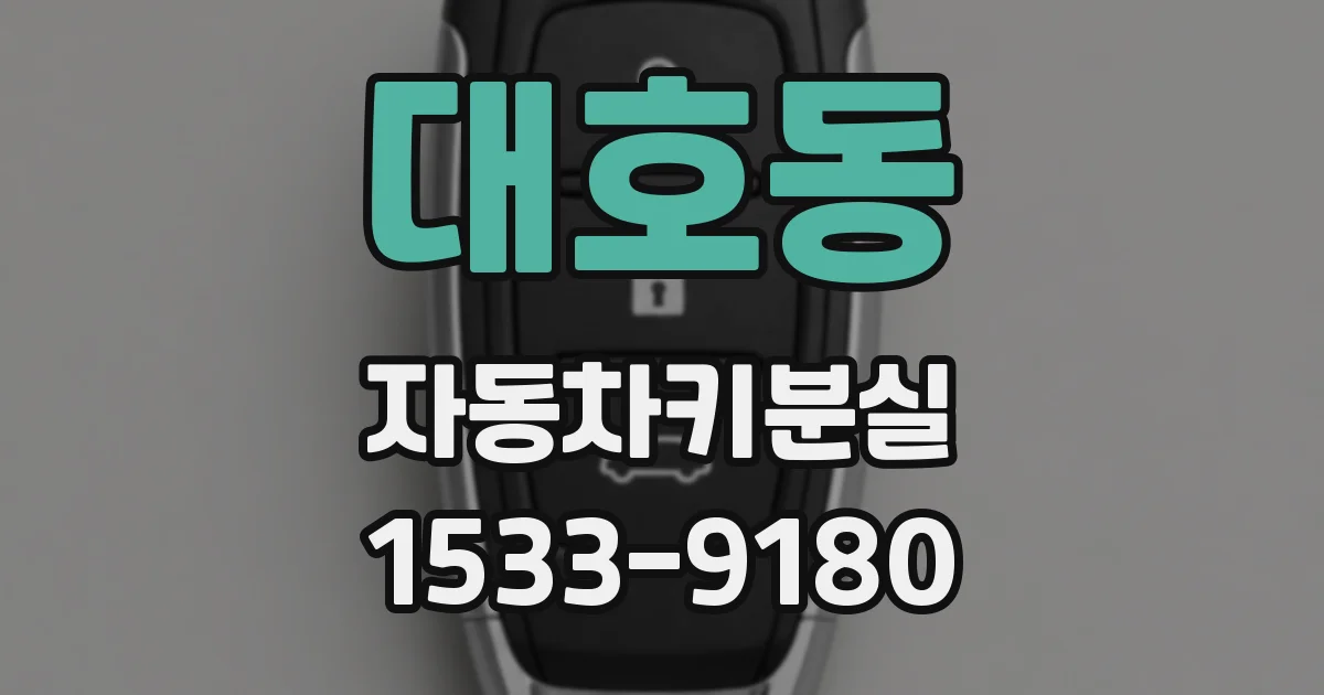 대호동 자동차키분실