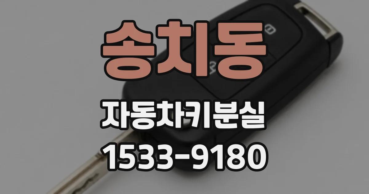 송치동 자동차키분실