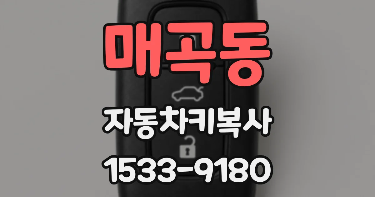 매곡동 자동차키복사