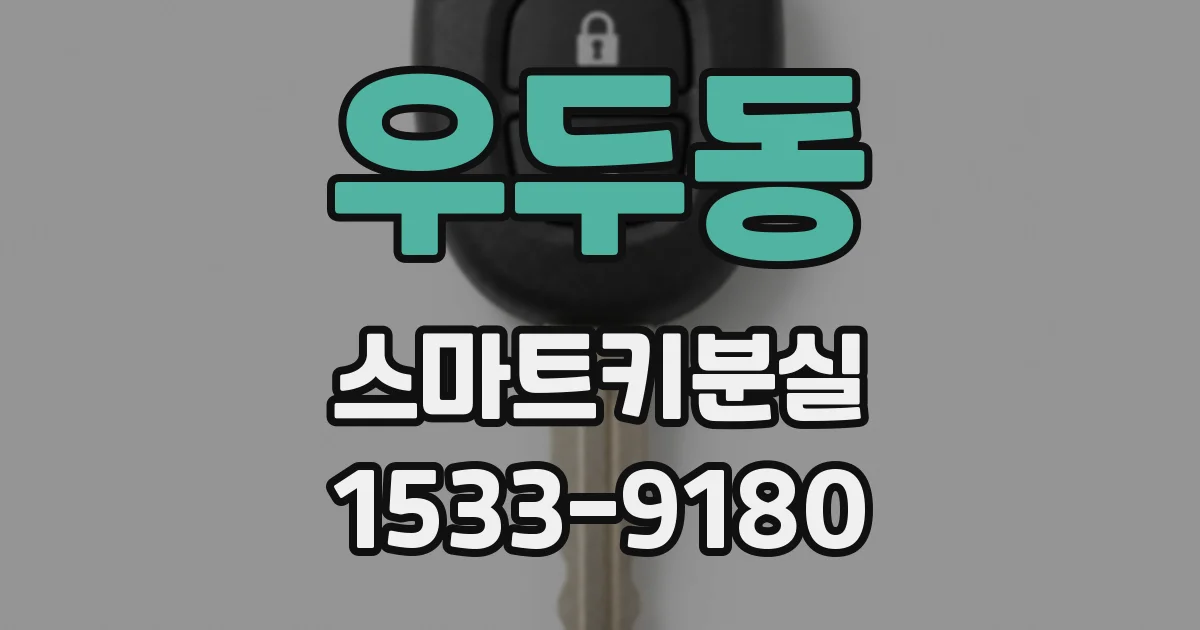 우두동 스마트키분실