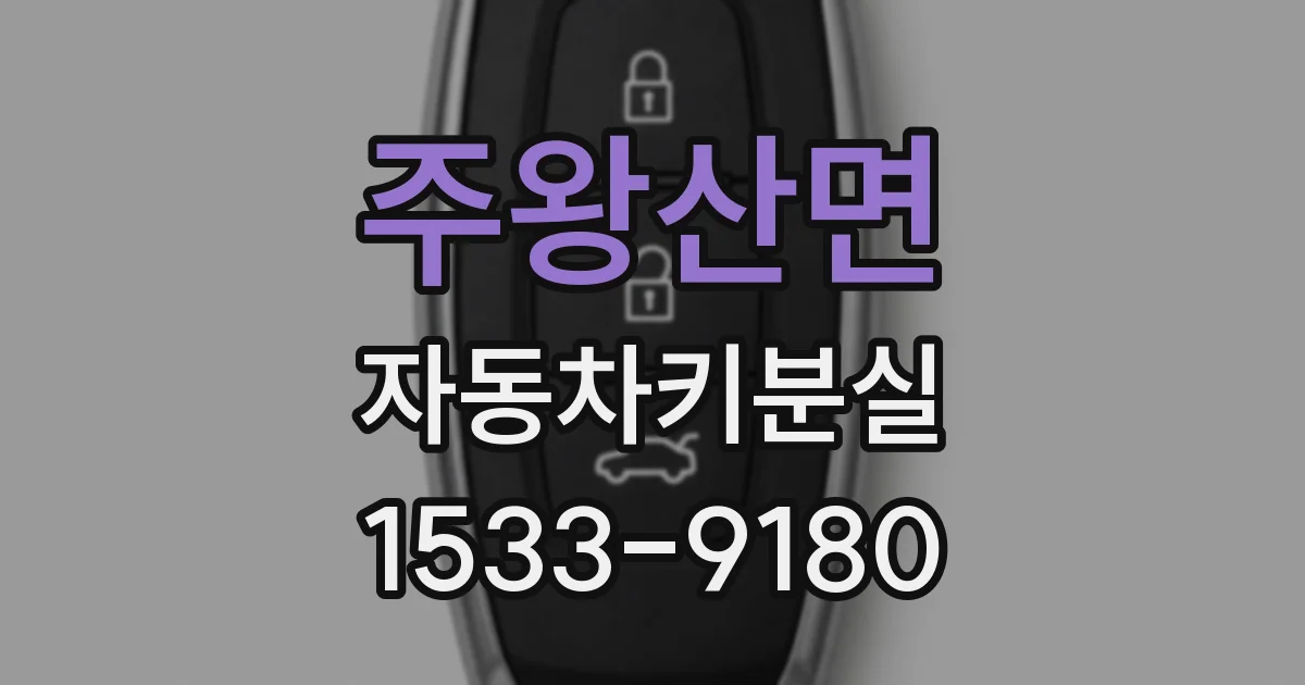 주왕산면 자동차키분실