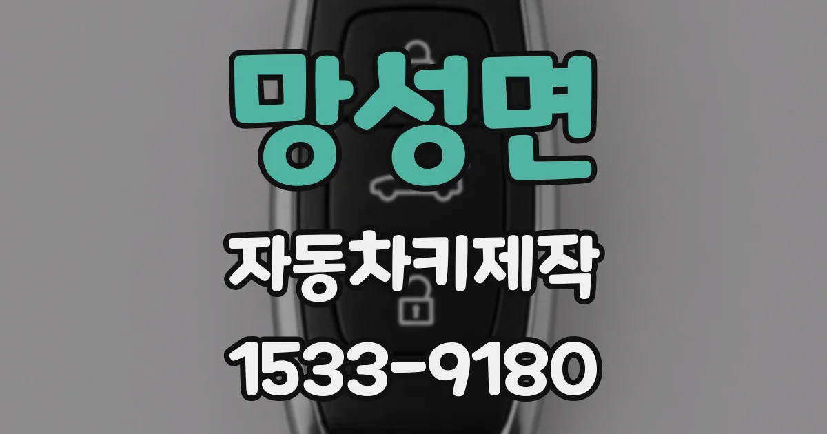 망성면 자동차키제작