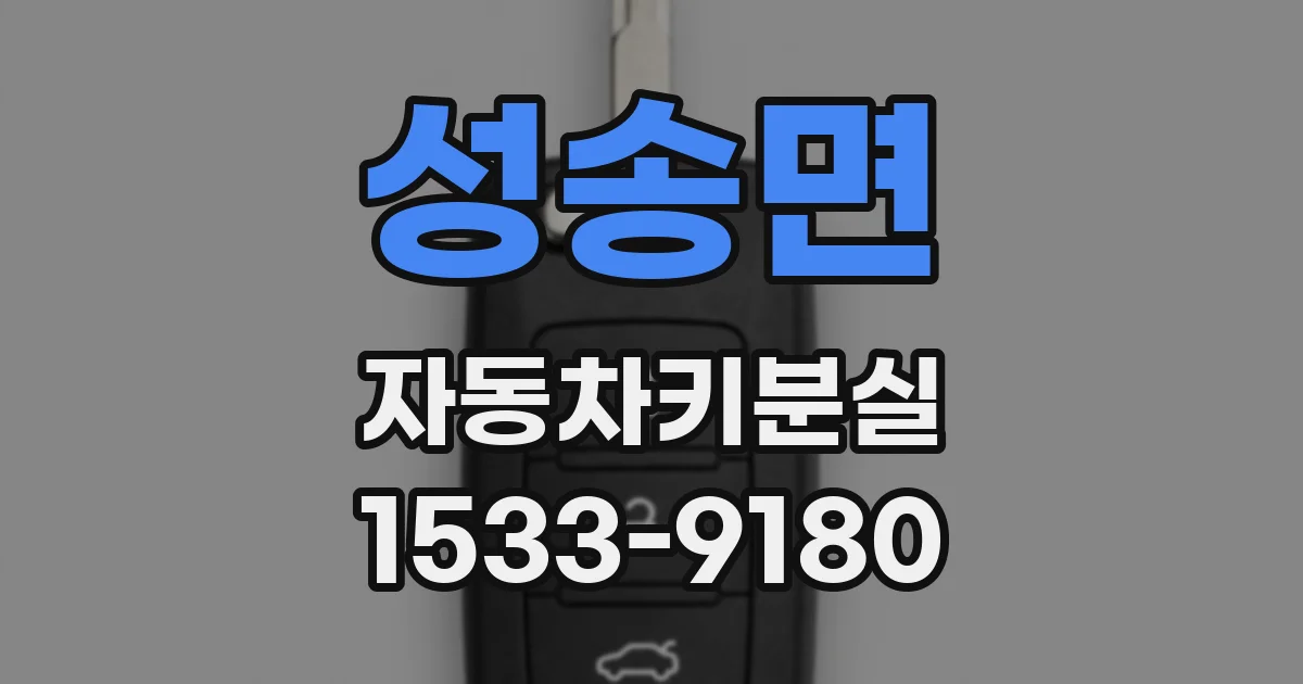 성송면 자동차키분실