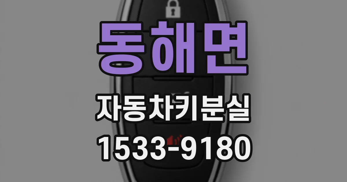 동해면 자동차키분실