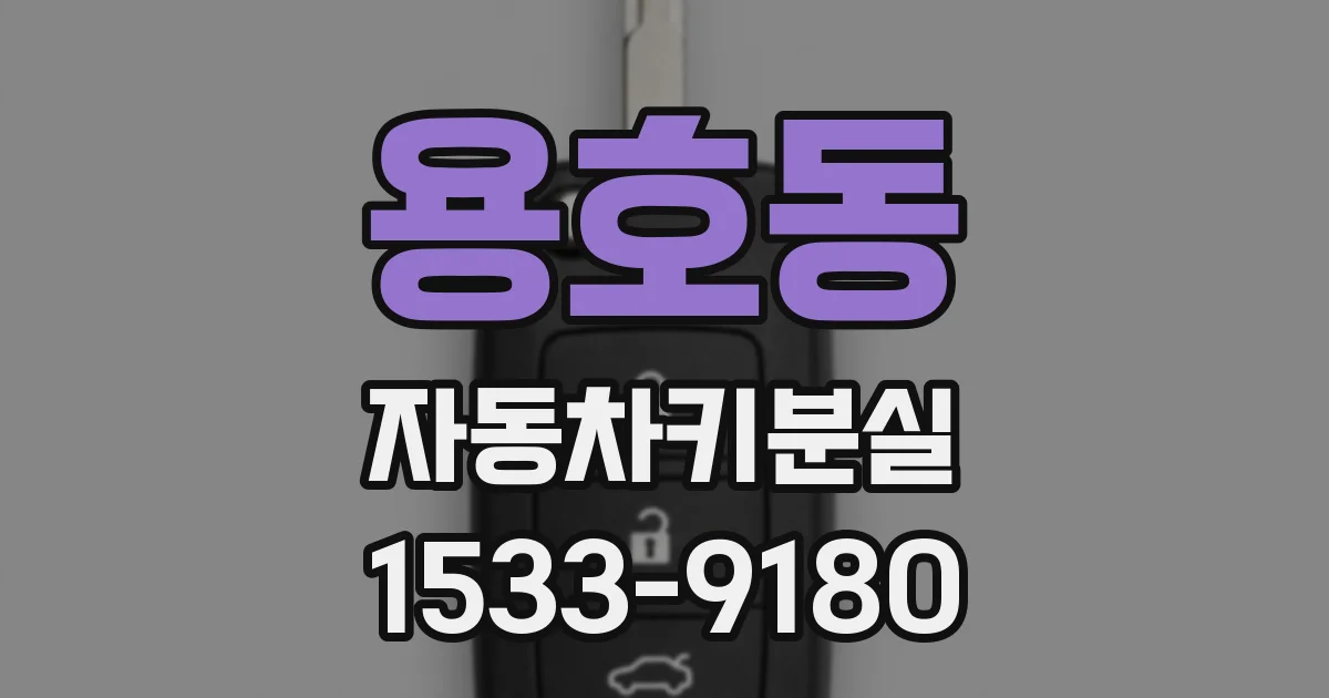 용호동 자동차키분실