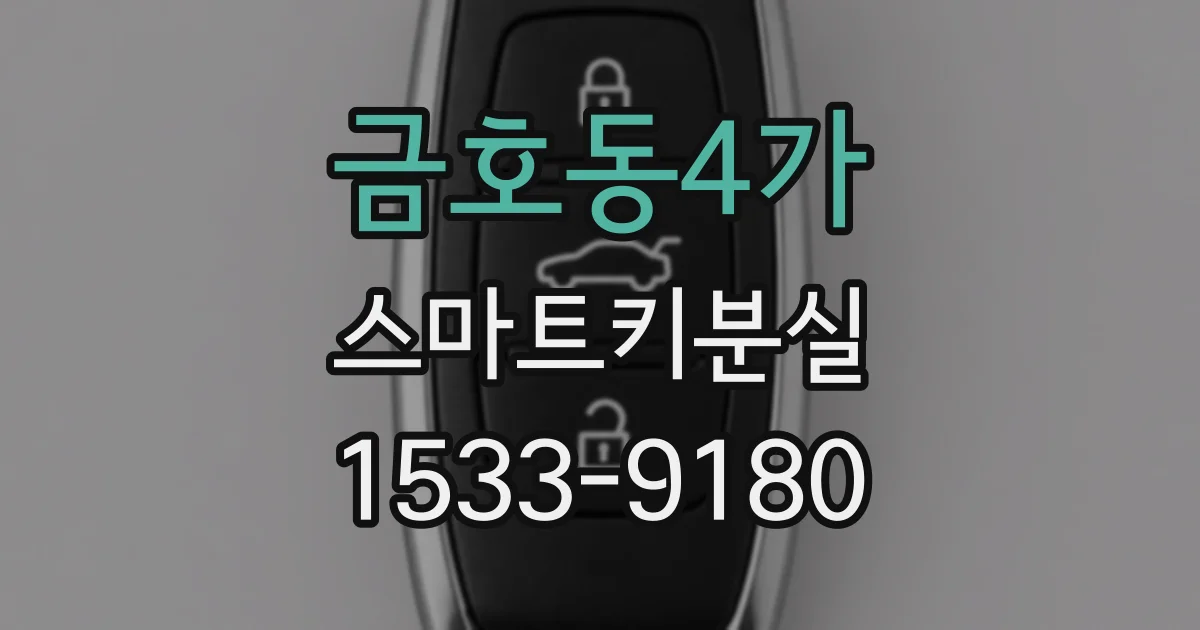 금호동4가 스마트키분실
