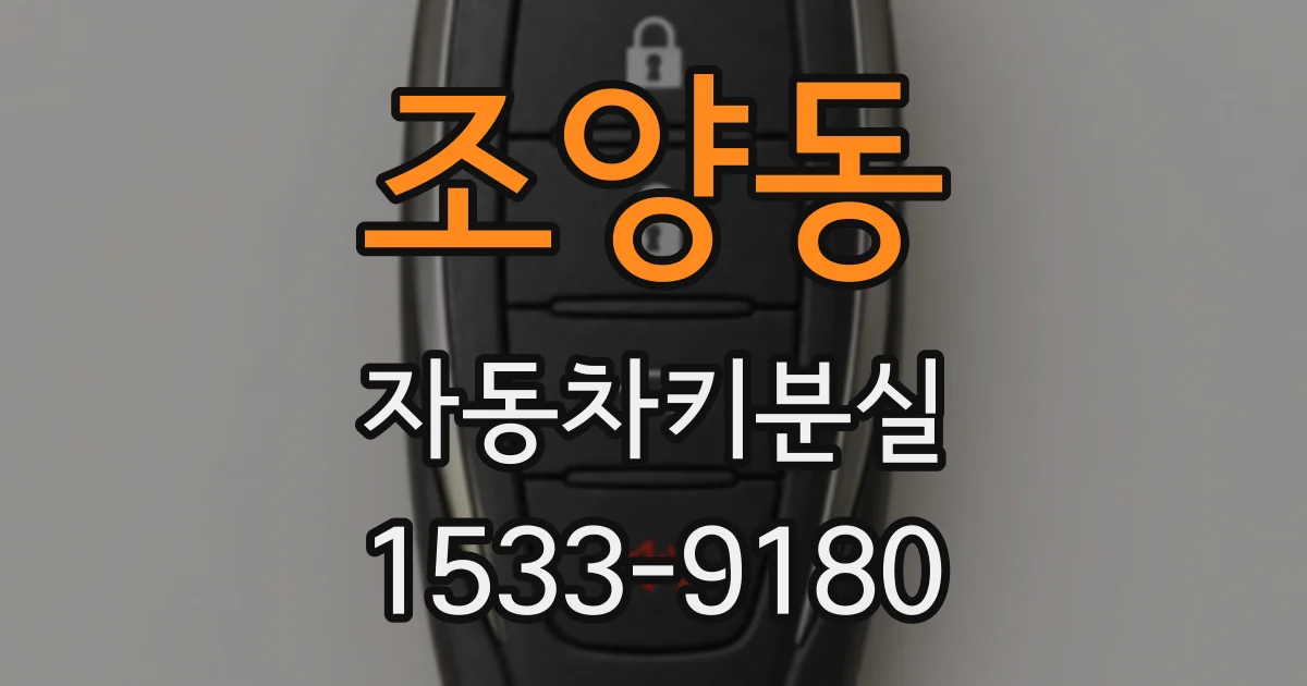조양동 자동차키분실