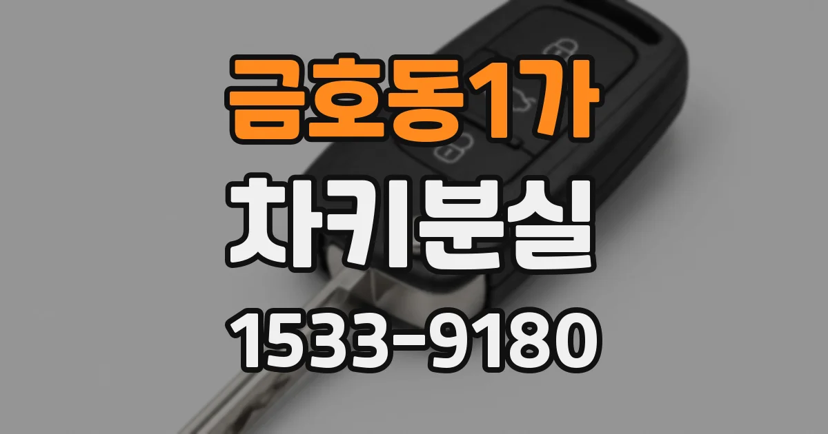 금호동1가 차키분실