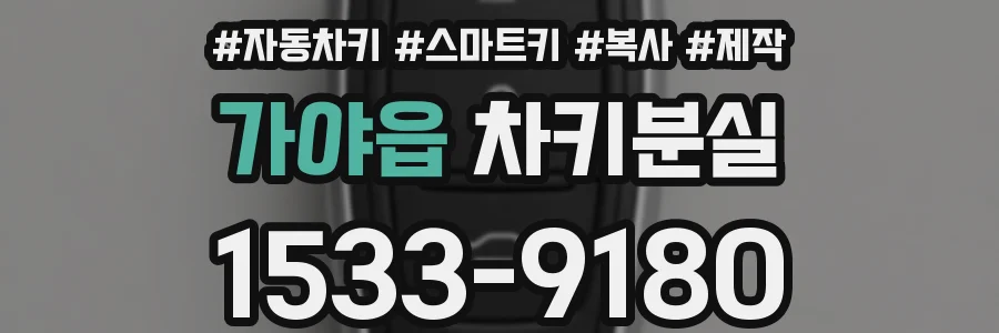 가야읍 차키분실