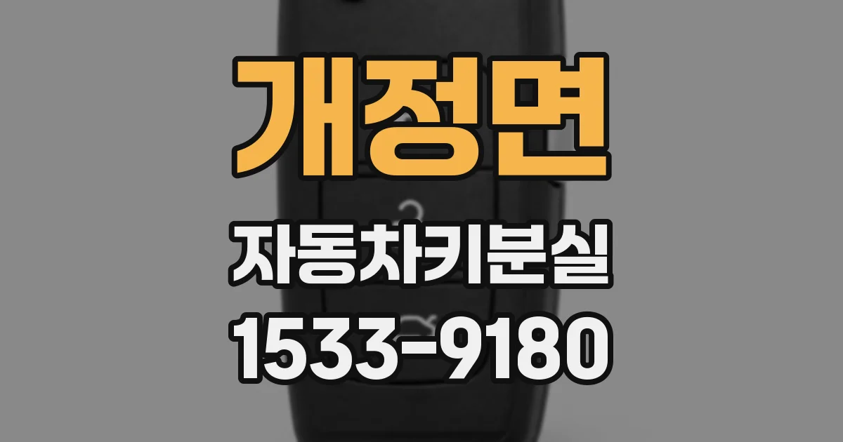 개정면 자동차키분실