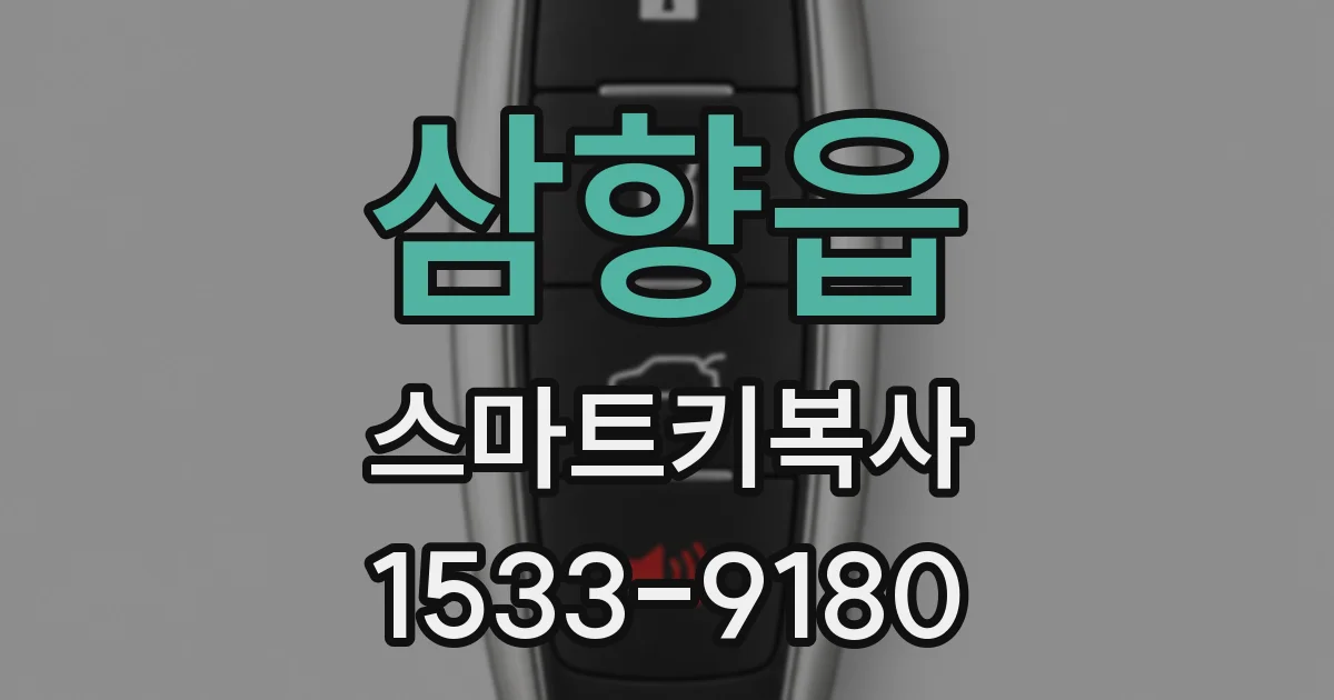 삼향읍 스마트키복사