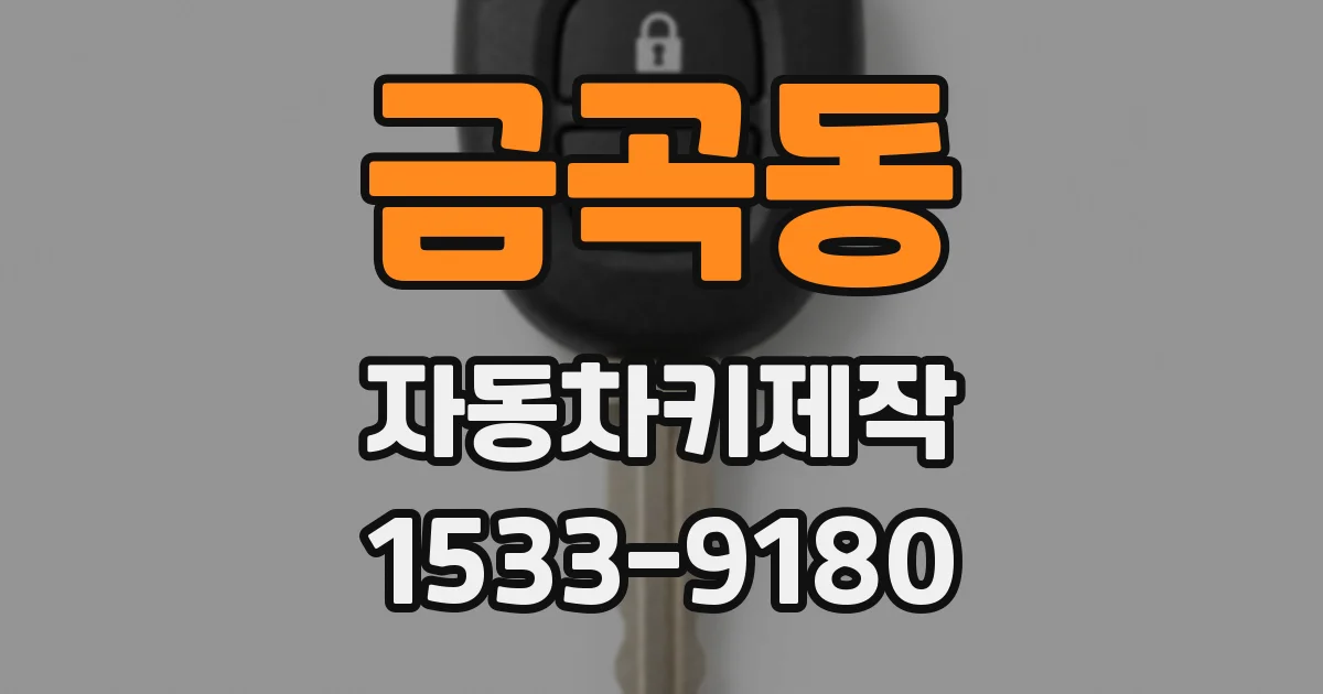금곡동 자동차키제작
