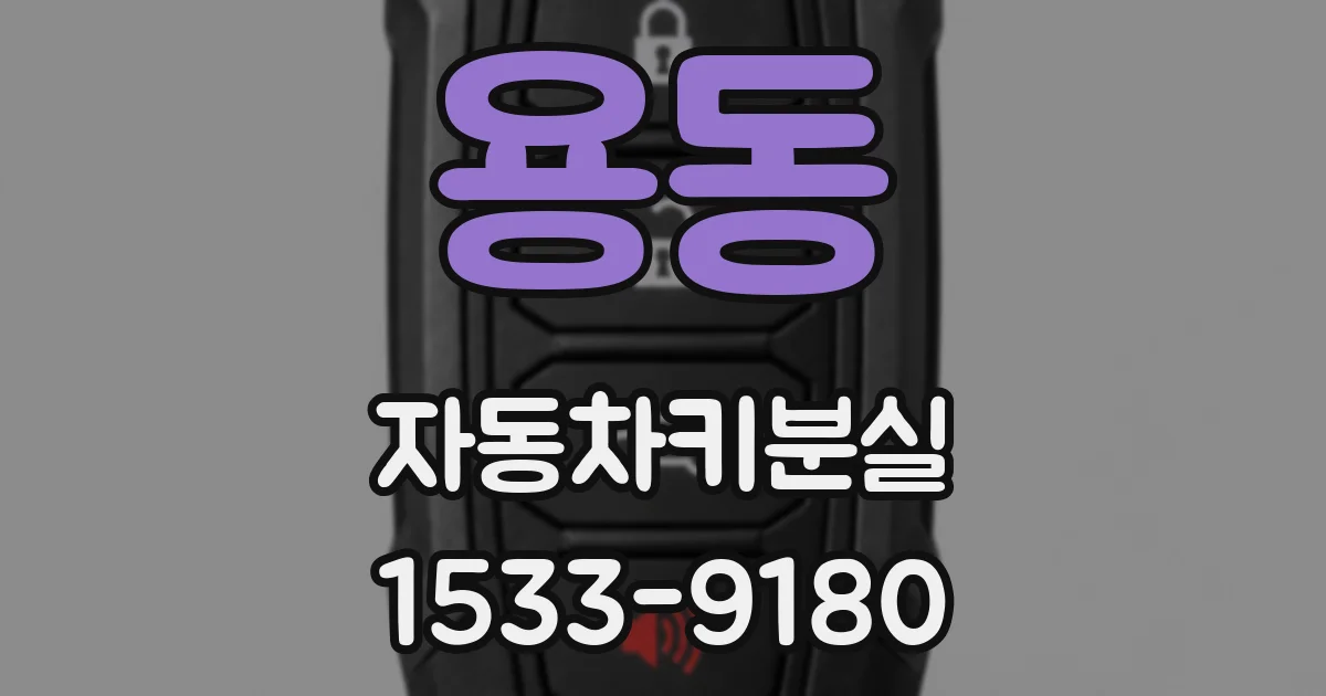 용동 자동차키분실