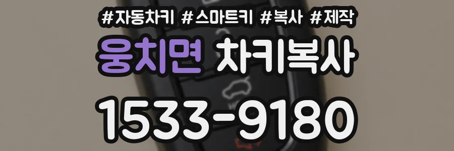 웅치면 차키복사