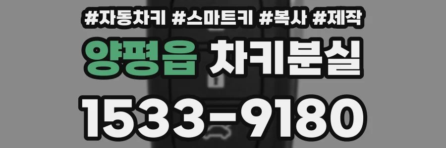 양평읍 차키분실