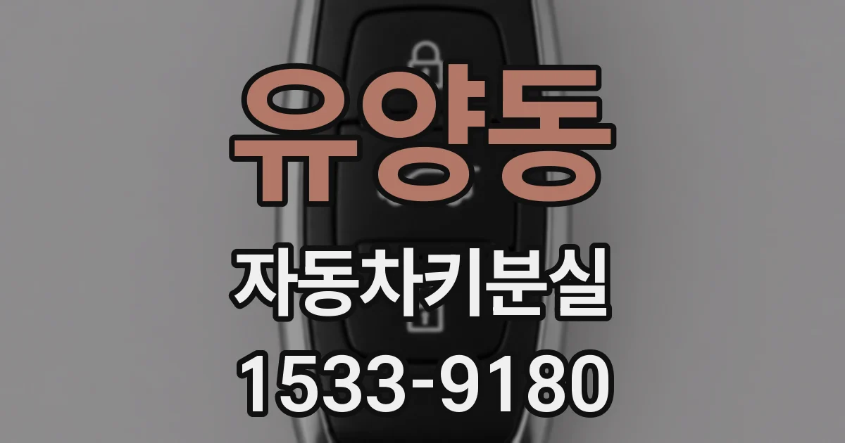 유양동 자동차키분실