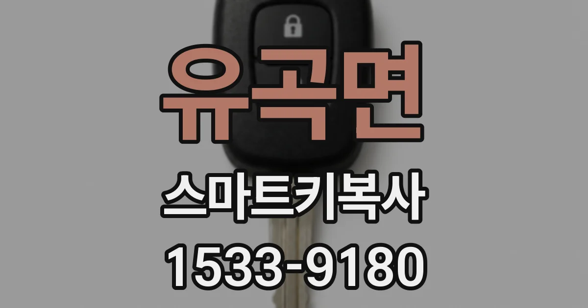 유곡면 스마트키복사