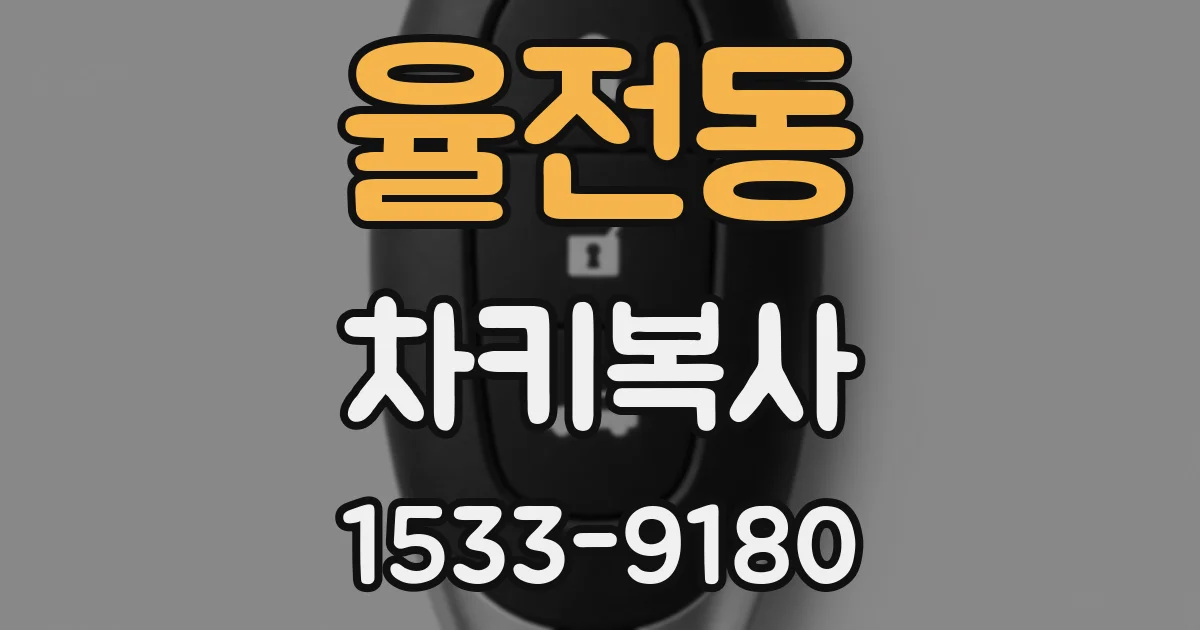 율전동 차키복사