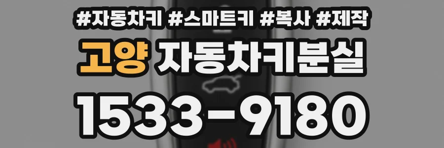 고양 자동차키분실
