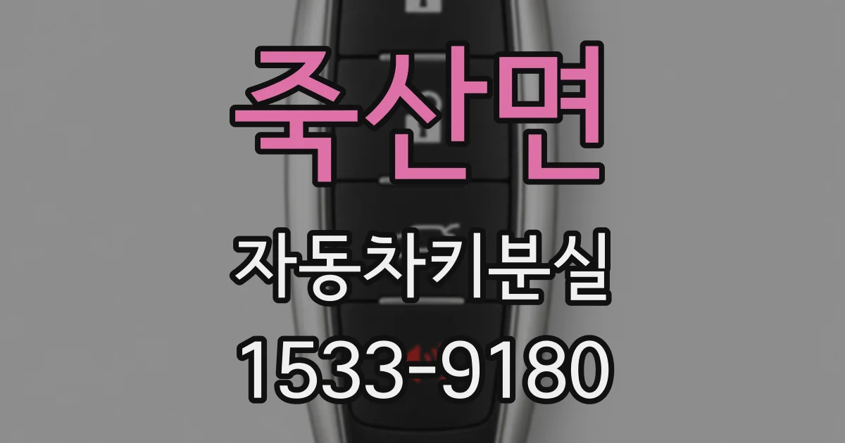 죽산면 자동차키분실
