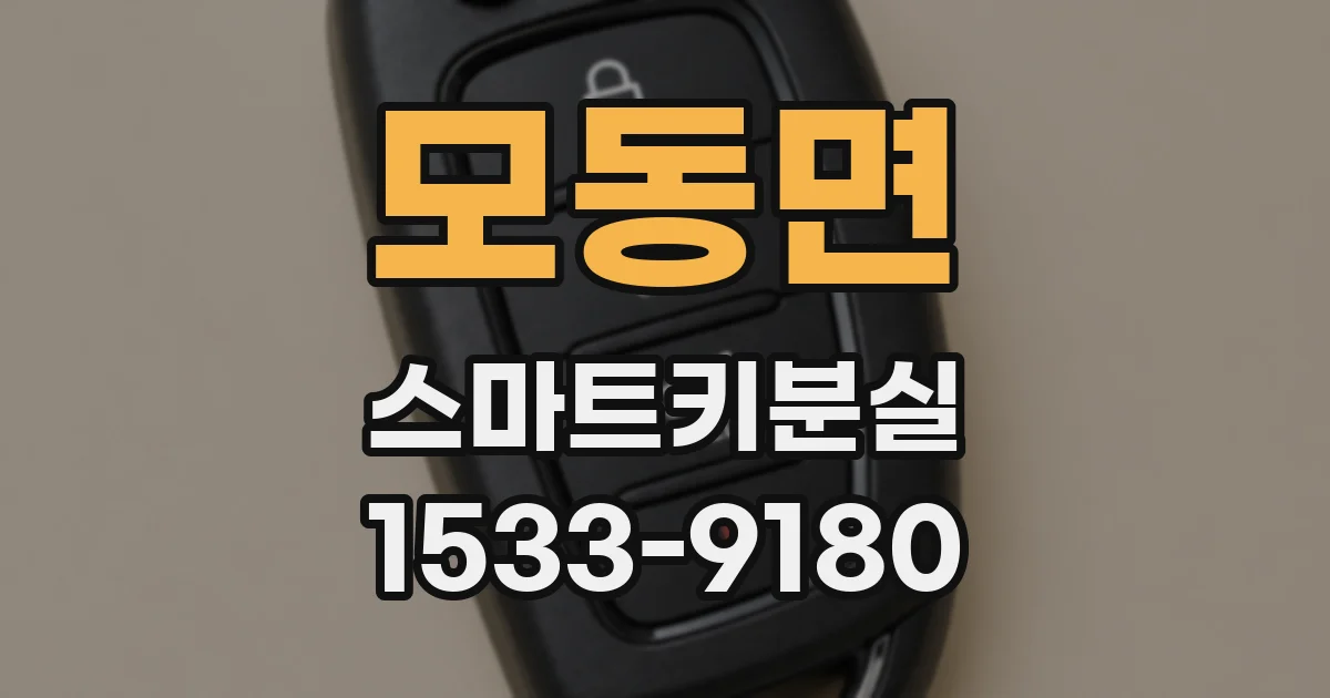 모동면 스마트키분실