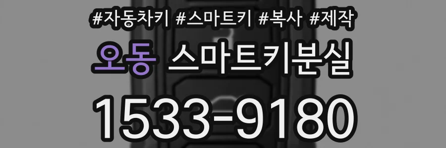 오동 스마트키분실
