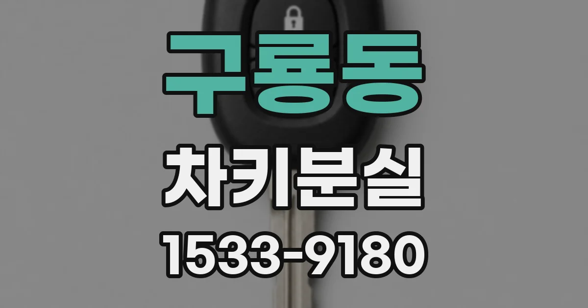구룡동 차키분실