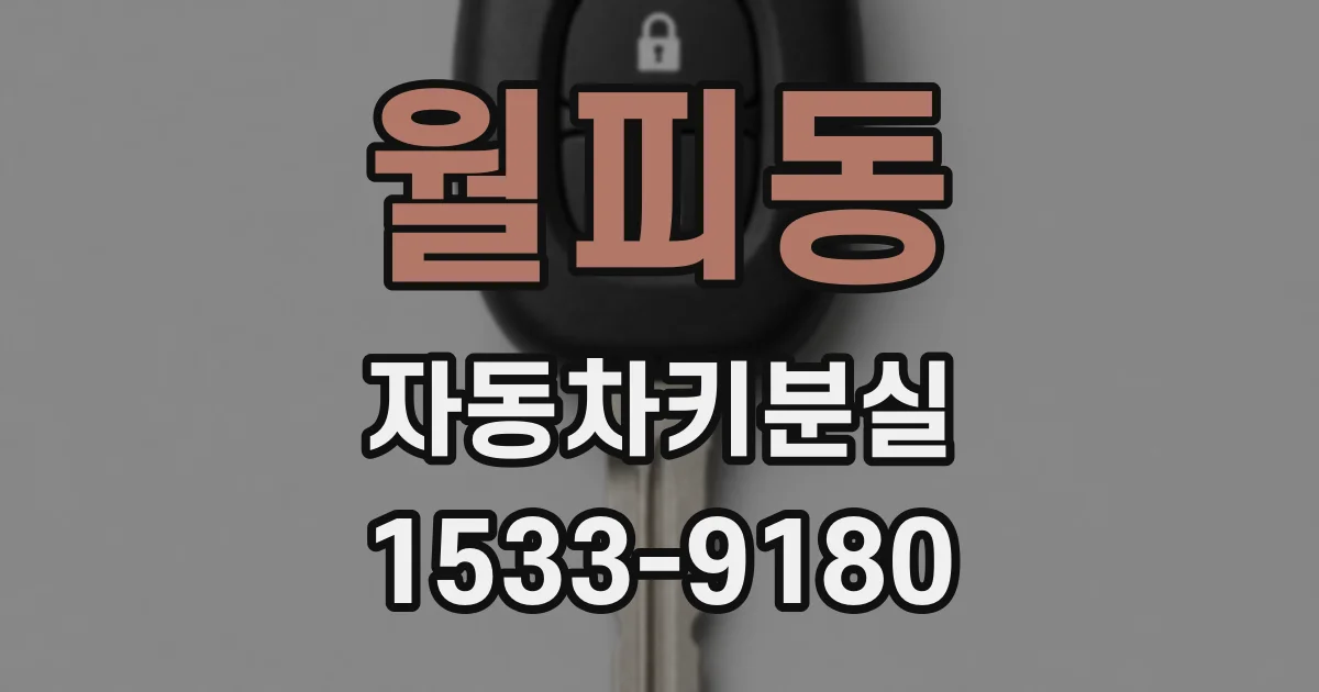 월피동 자동차키분실