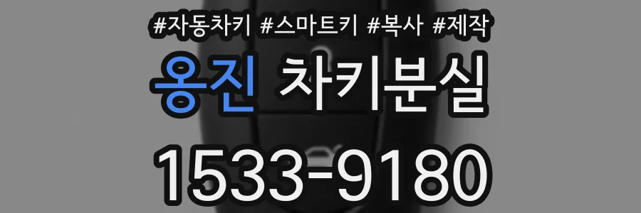 옹진 차키분실