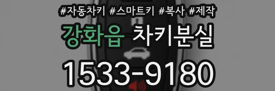 강화읍 차키분실