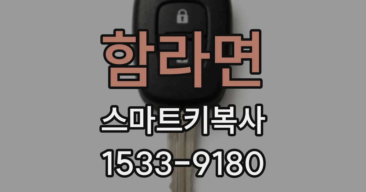 함라면 스마트키복사
