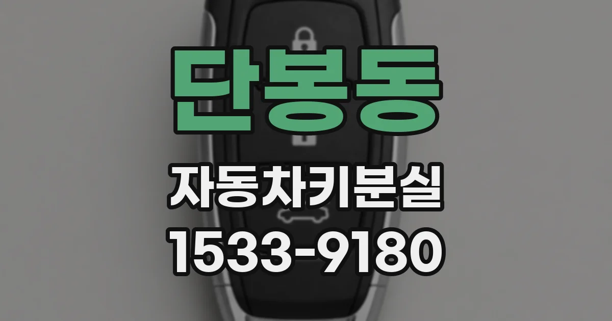 단봉동 자동차키분실