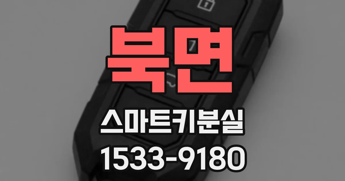 북면 스마트키분실