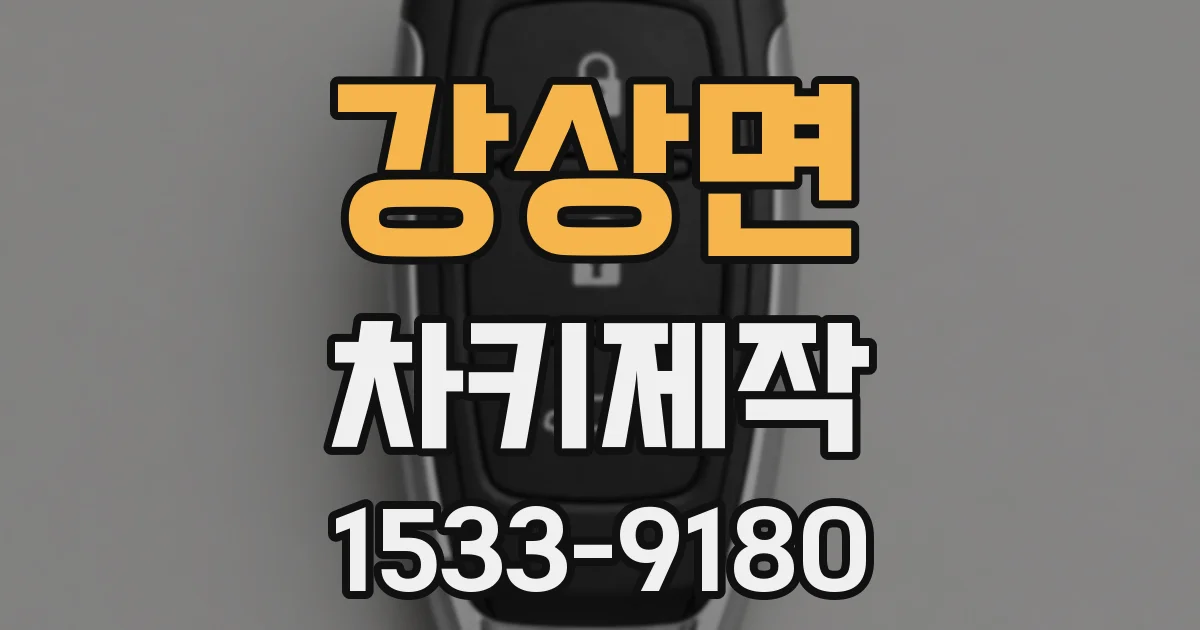 강상면 차키제작