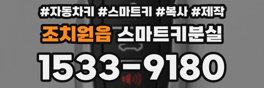 조치원읍 스마트키분실
