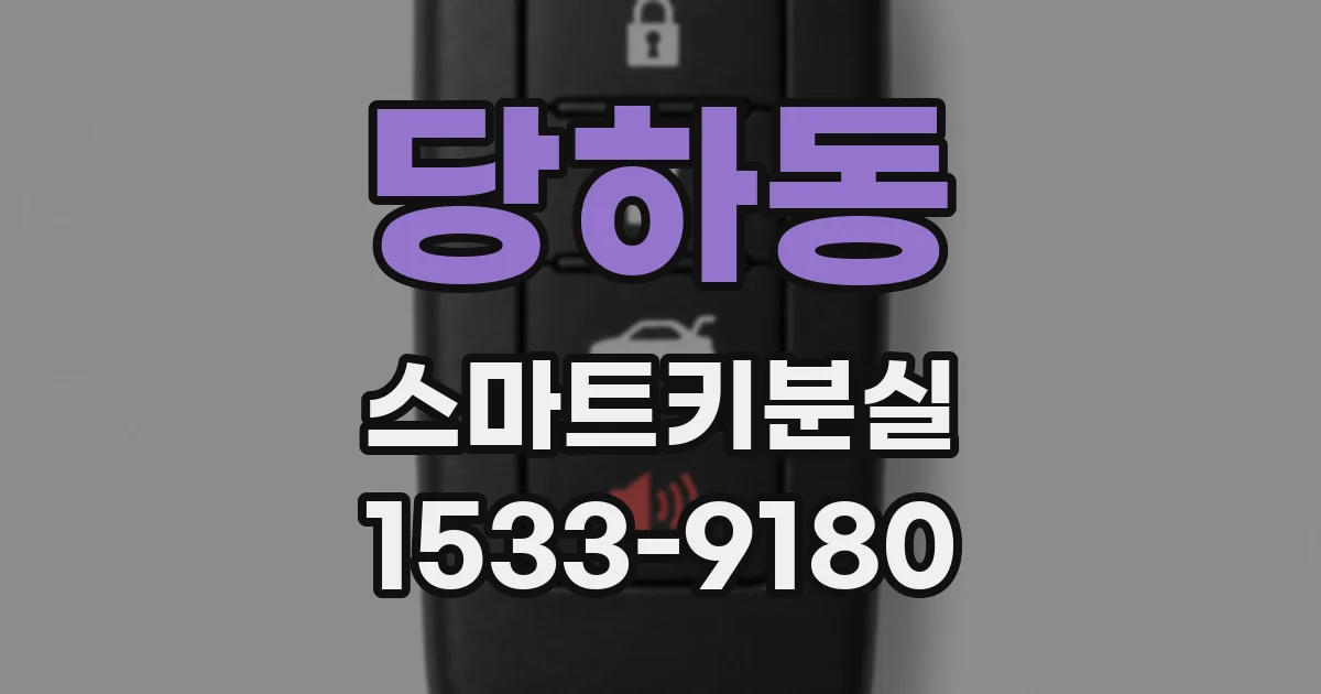 당하동 스마트키분실