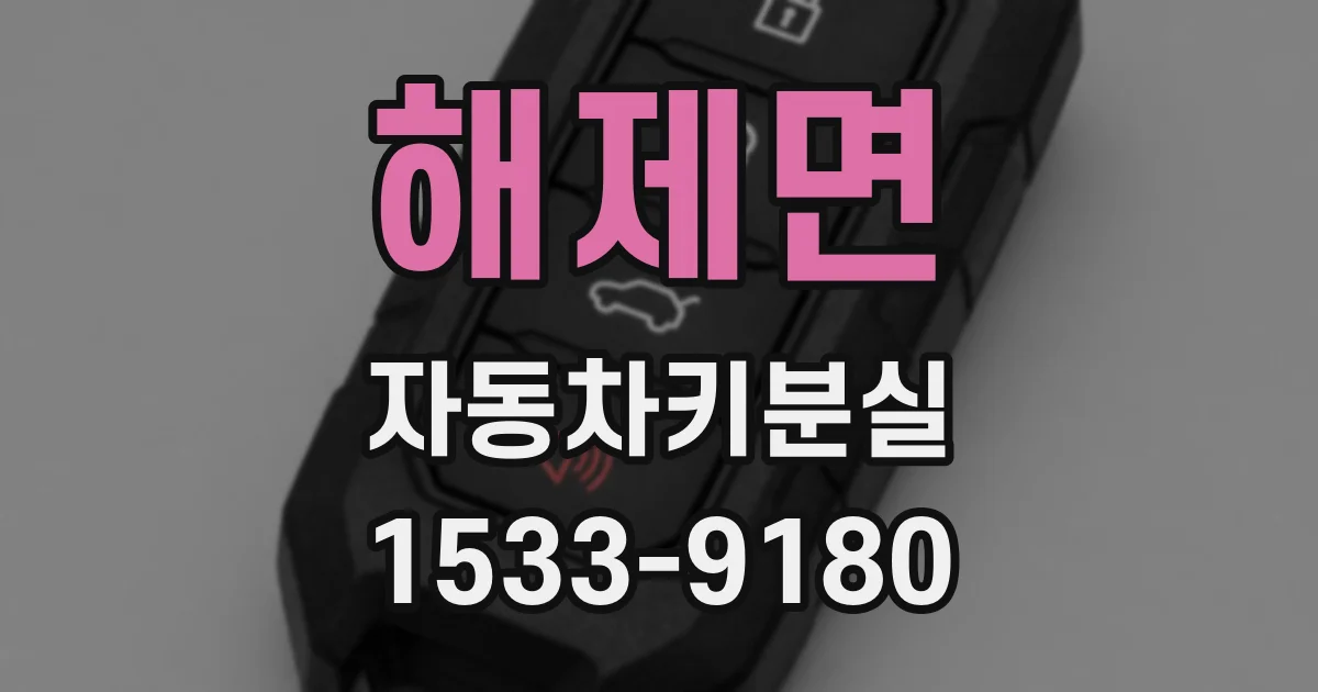 해제면 자동차키분실