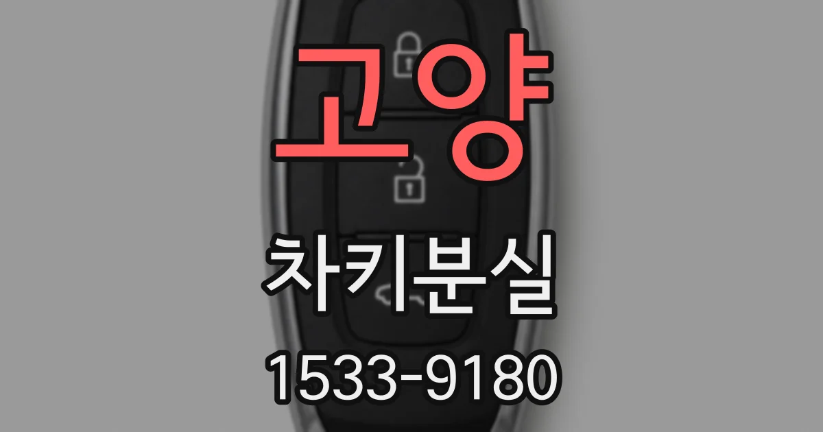 고양 차키분실