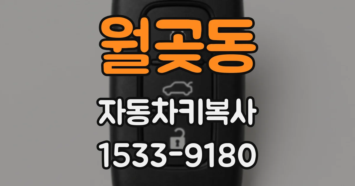 월곶동 자동차키복사