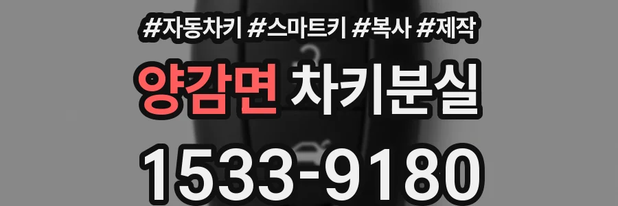 양감면 차키분실
