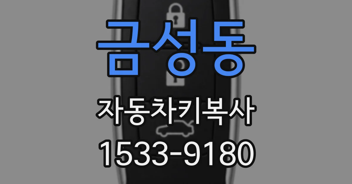 금성동 자동차키복사