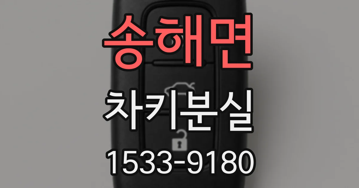 송해면 차키분실