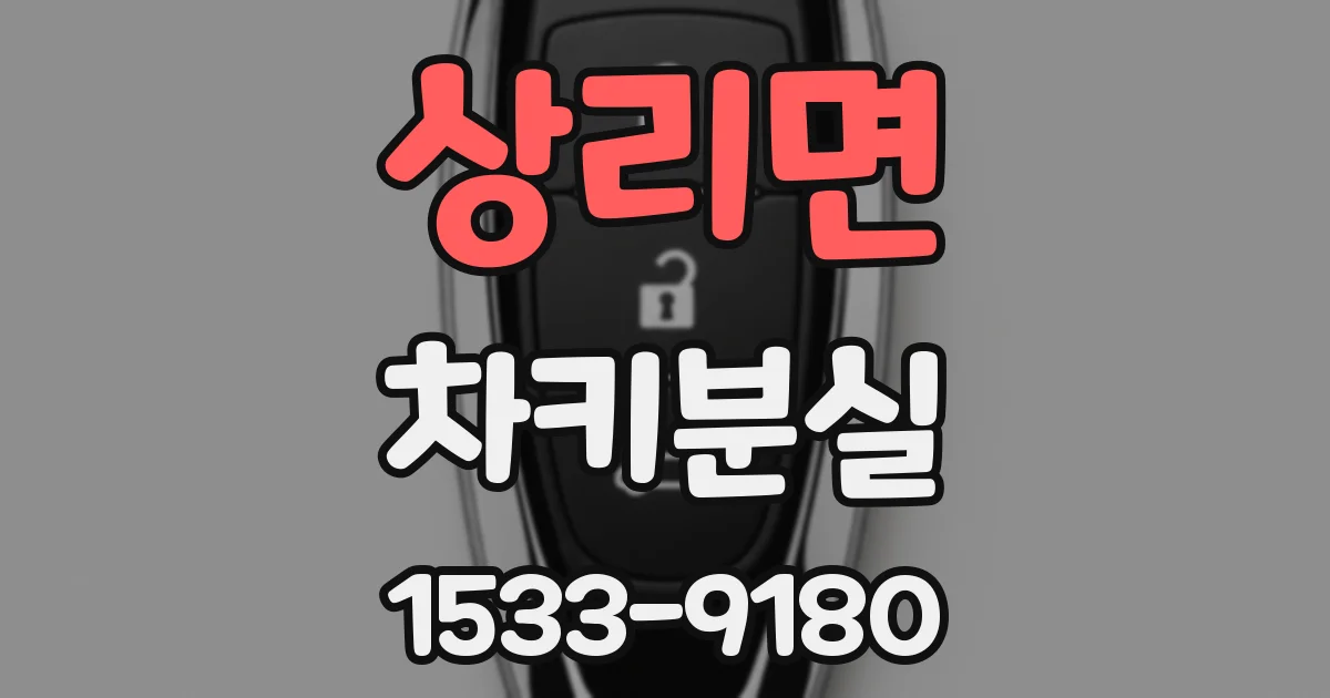 상리면 차키분실