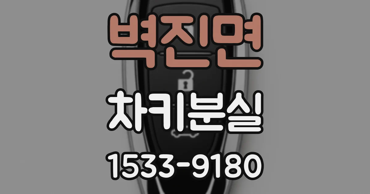 벽진면 차키분실