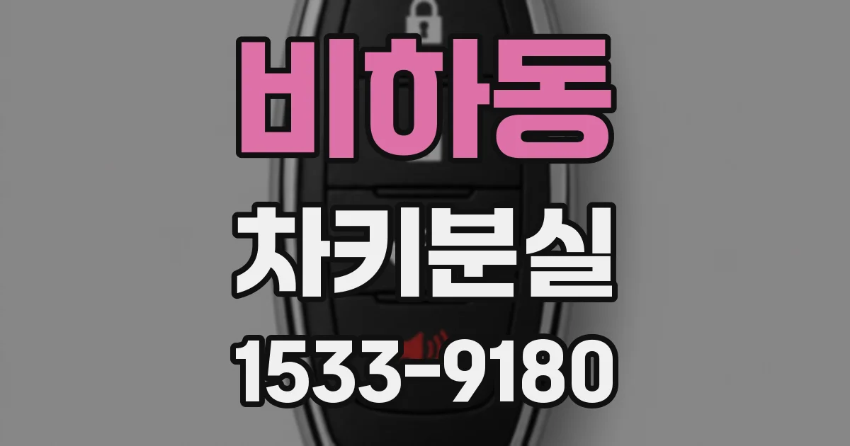 비하동 차키분실