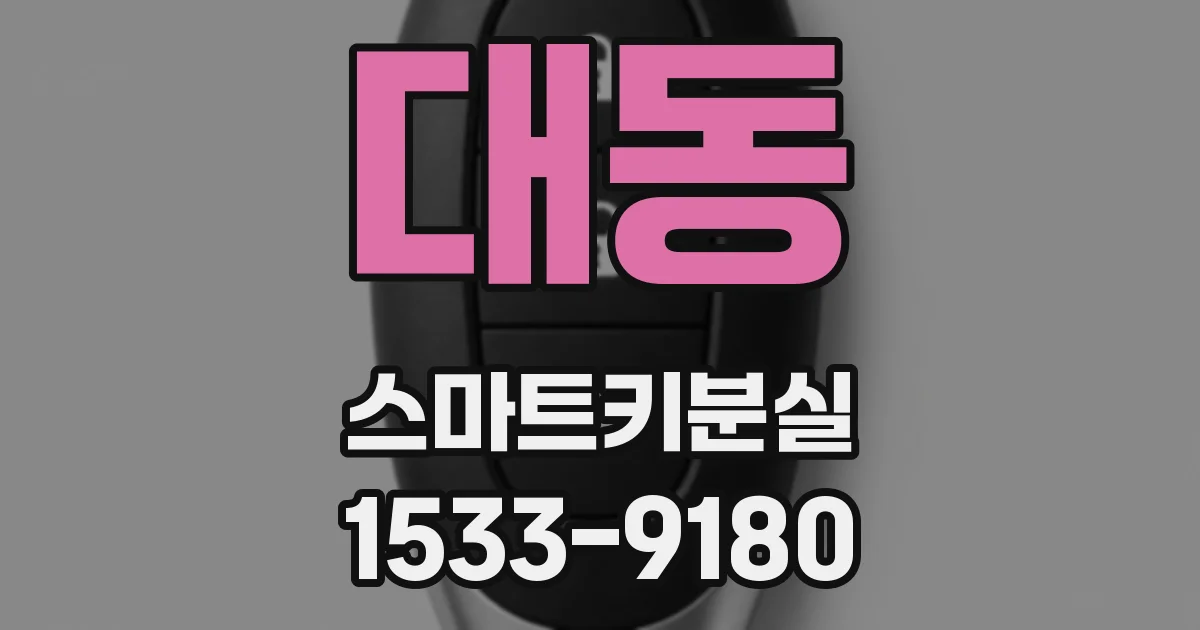 대동 스마트키분실