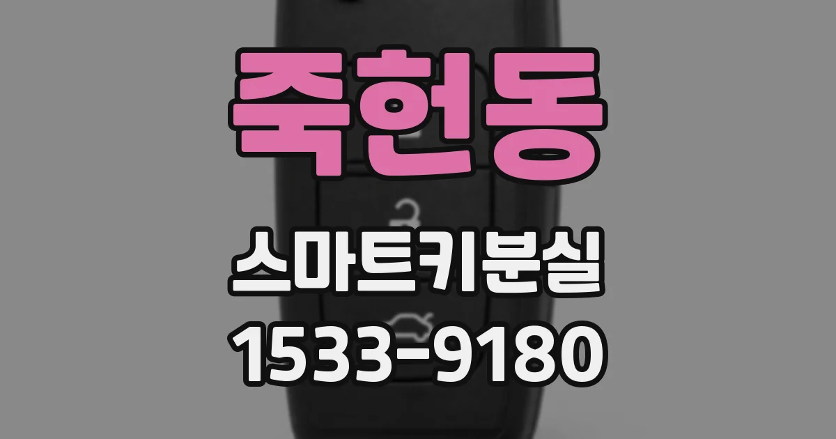 죽헌동 스마트키분실