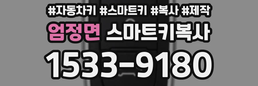 엄정면 스마트키복사
